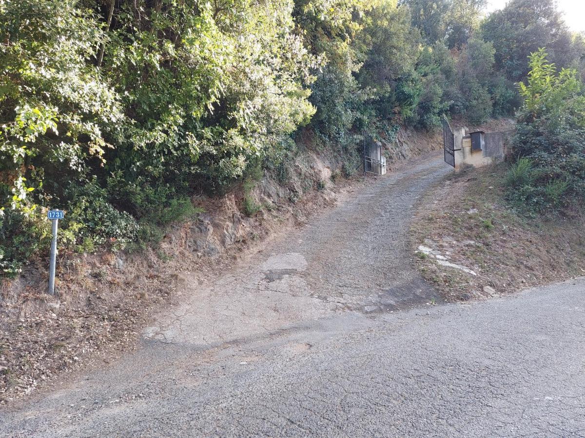 Ribellu Villa Bastia  Buitenkant foto